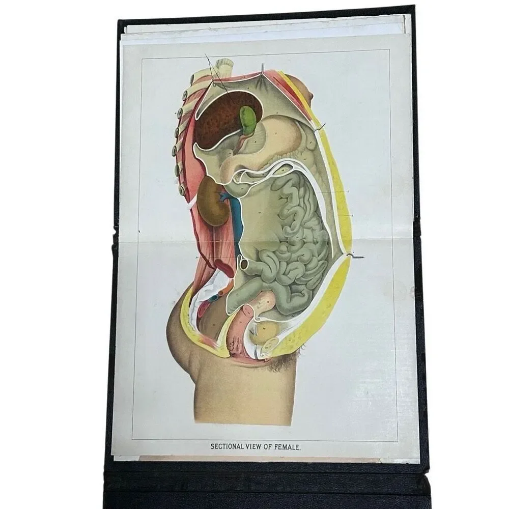 Vtg Western Publishing Nurses/Physician's Anatomical Aid by Ira E. Bunn & Co.
